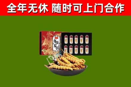 上栗县回收冬虫夏草价格